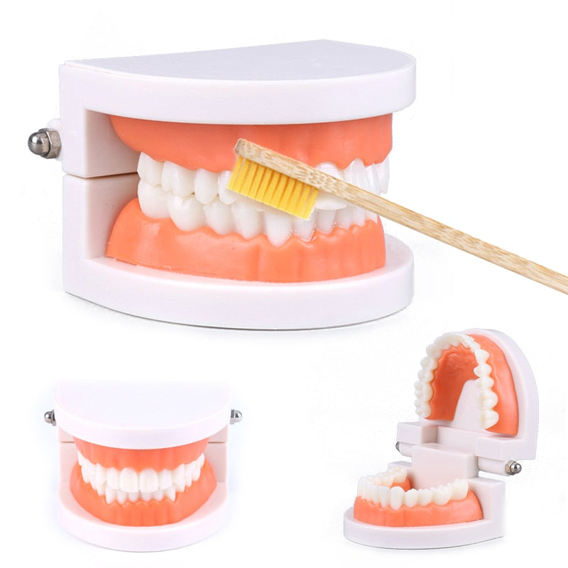 Brushing Tooth Teaching Aid