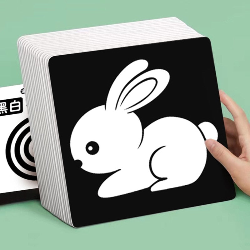 Visual Stimulation Learning Cards