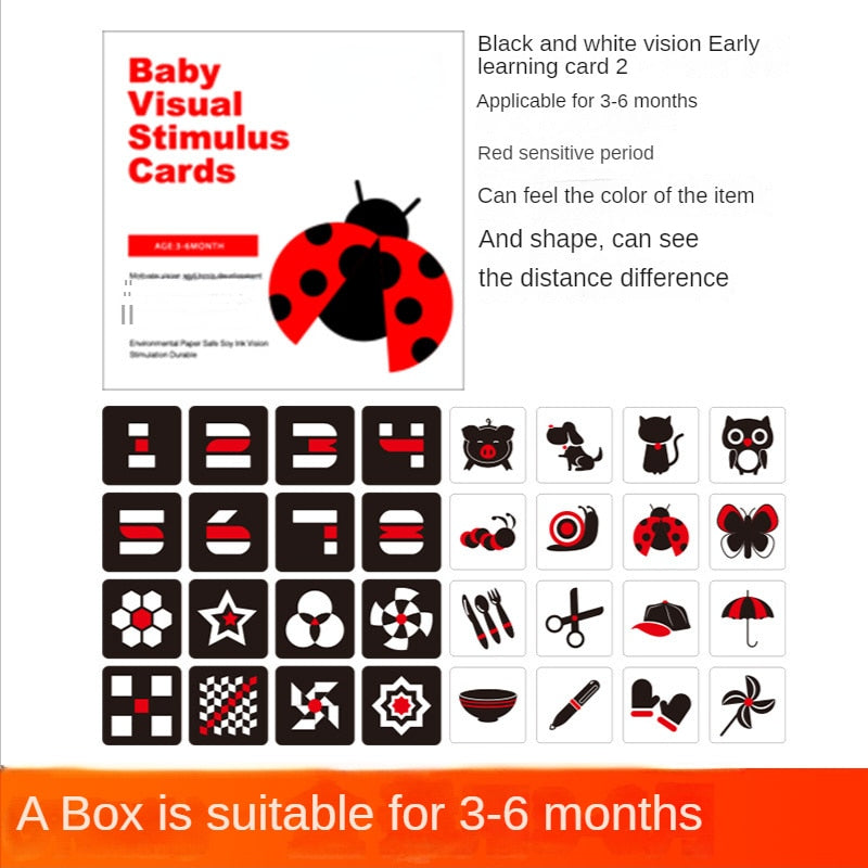 Visual Stimulation Learning Cards