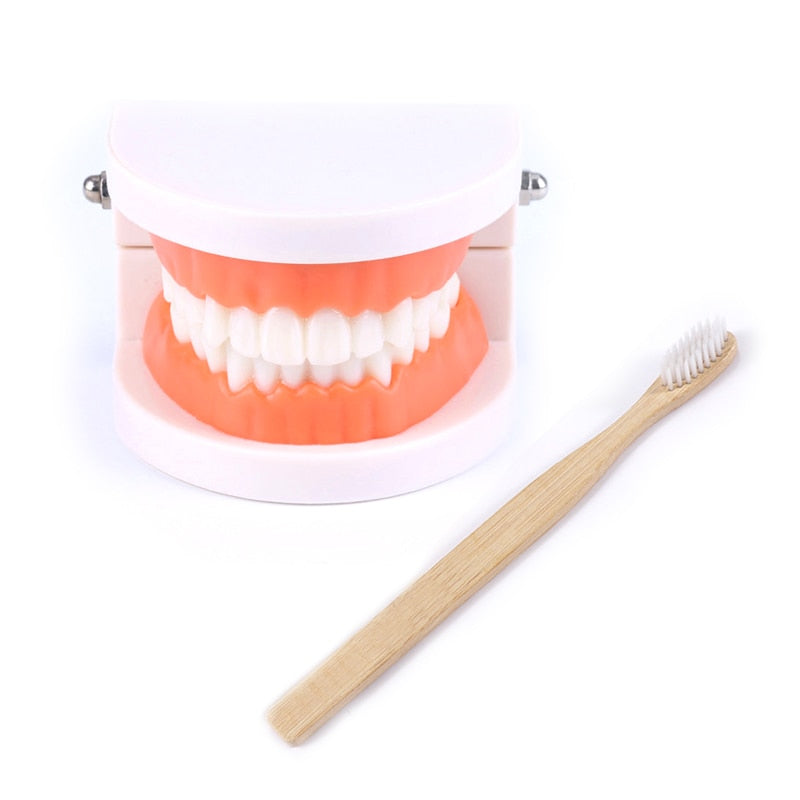 Brushing Tooth Teaching Aid