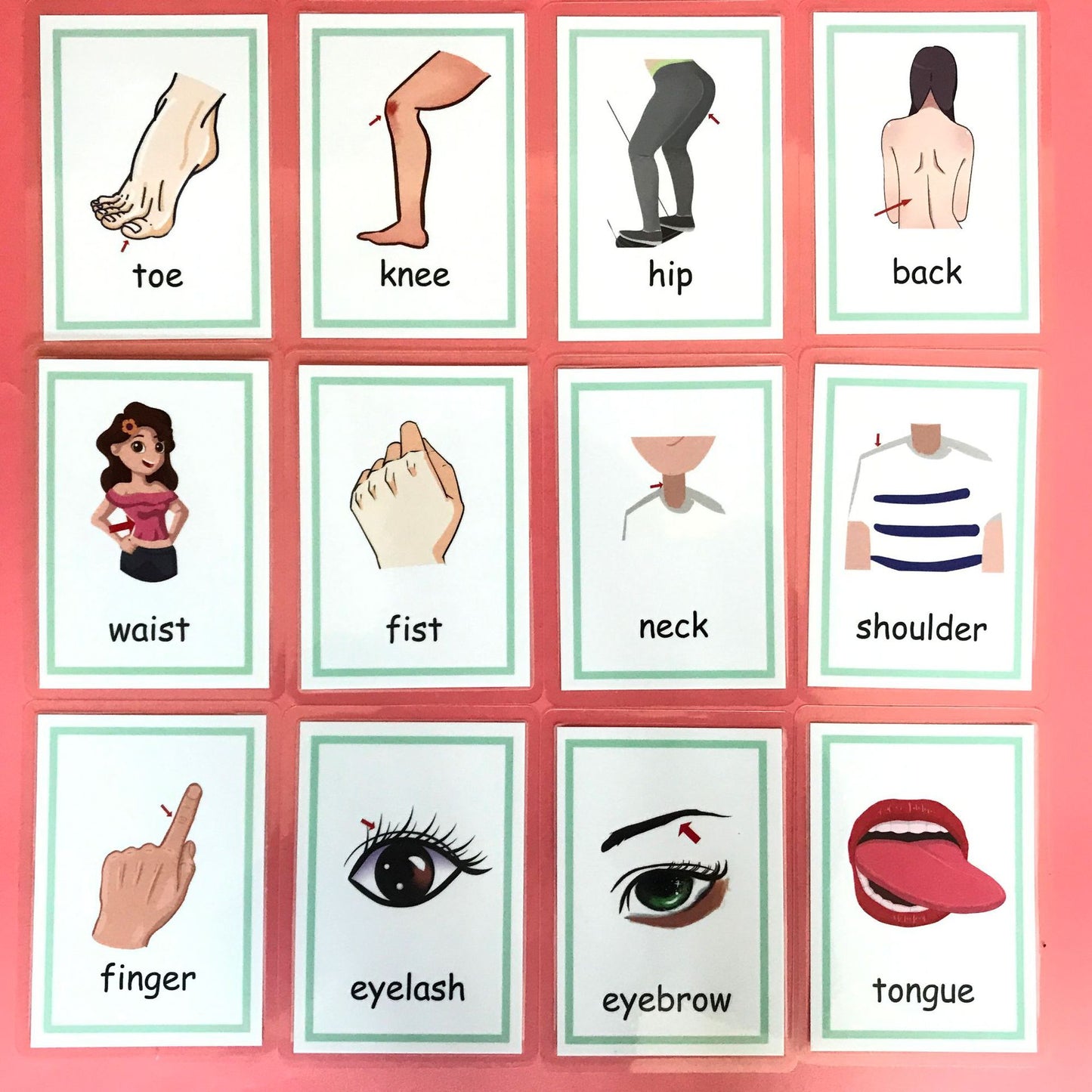 English Learning Flash Cards