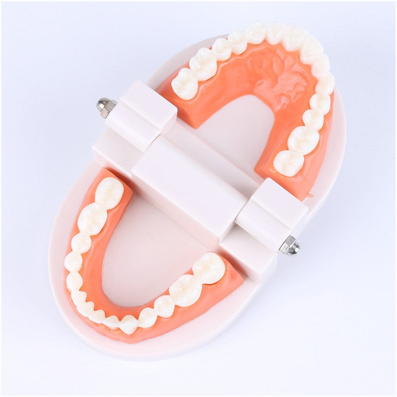 Brushing Tooth Teaching Aid
