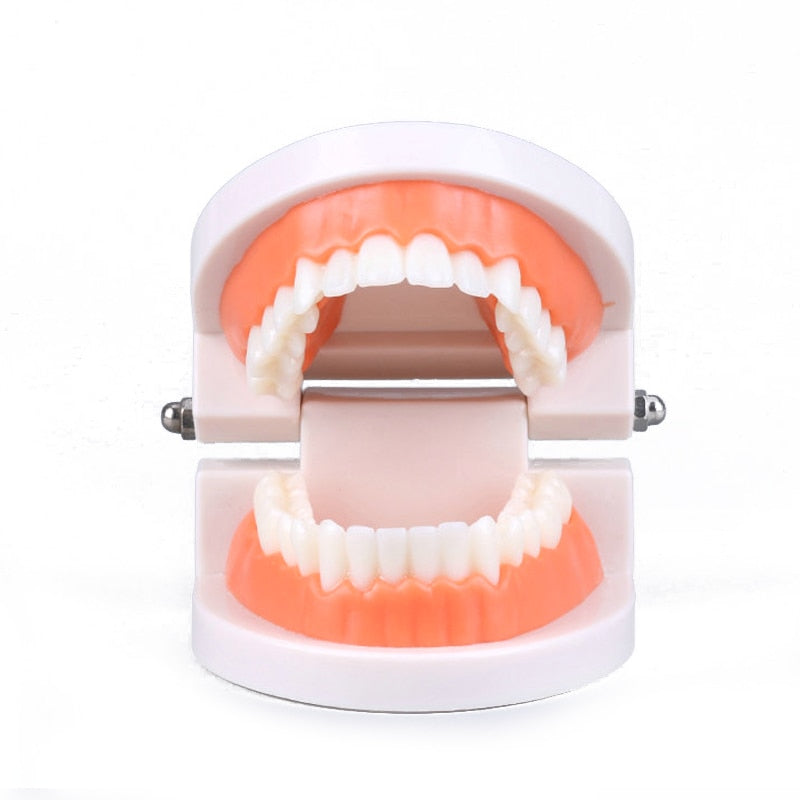 Brushing Tooth Teaching Aid